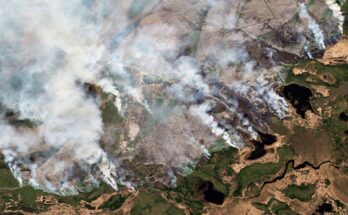 Canada's wildfires emitted more carbon than most countries last year